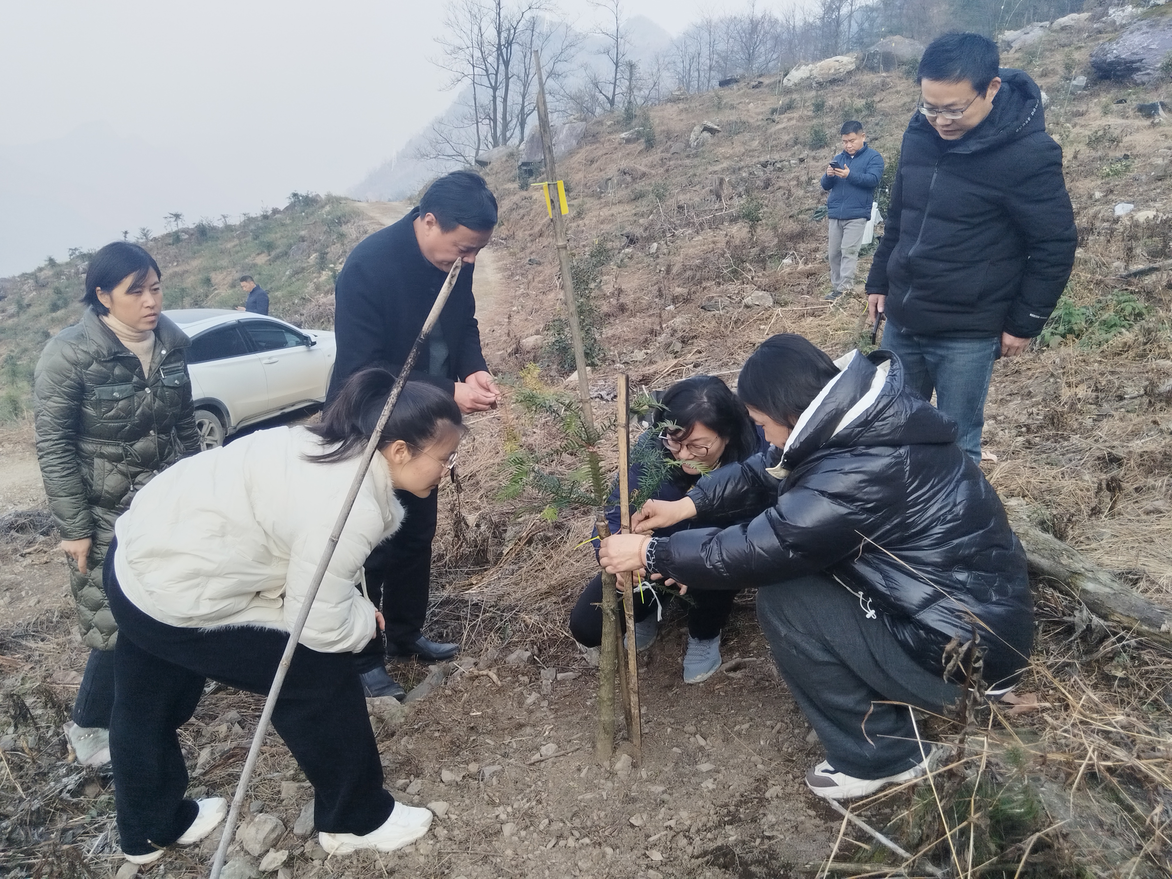 微信图片_20250114162823