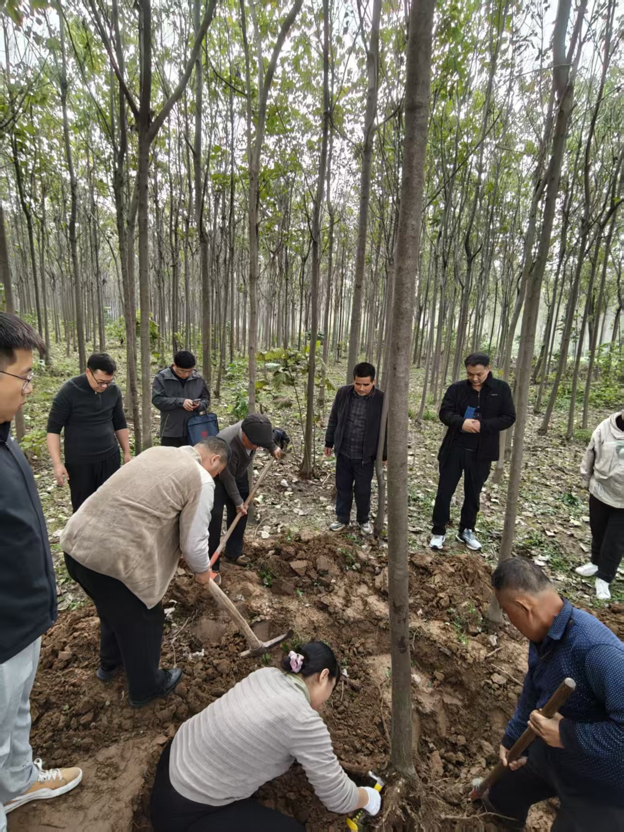 微信图片_20251109192726_9_3