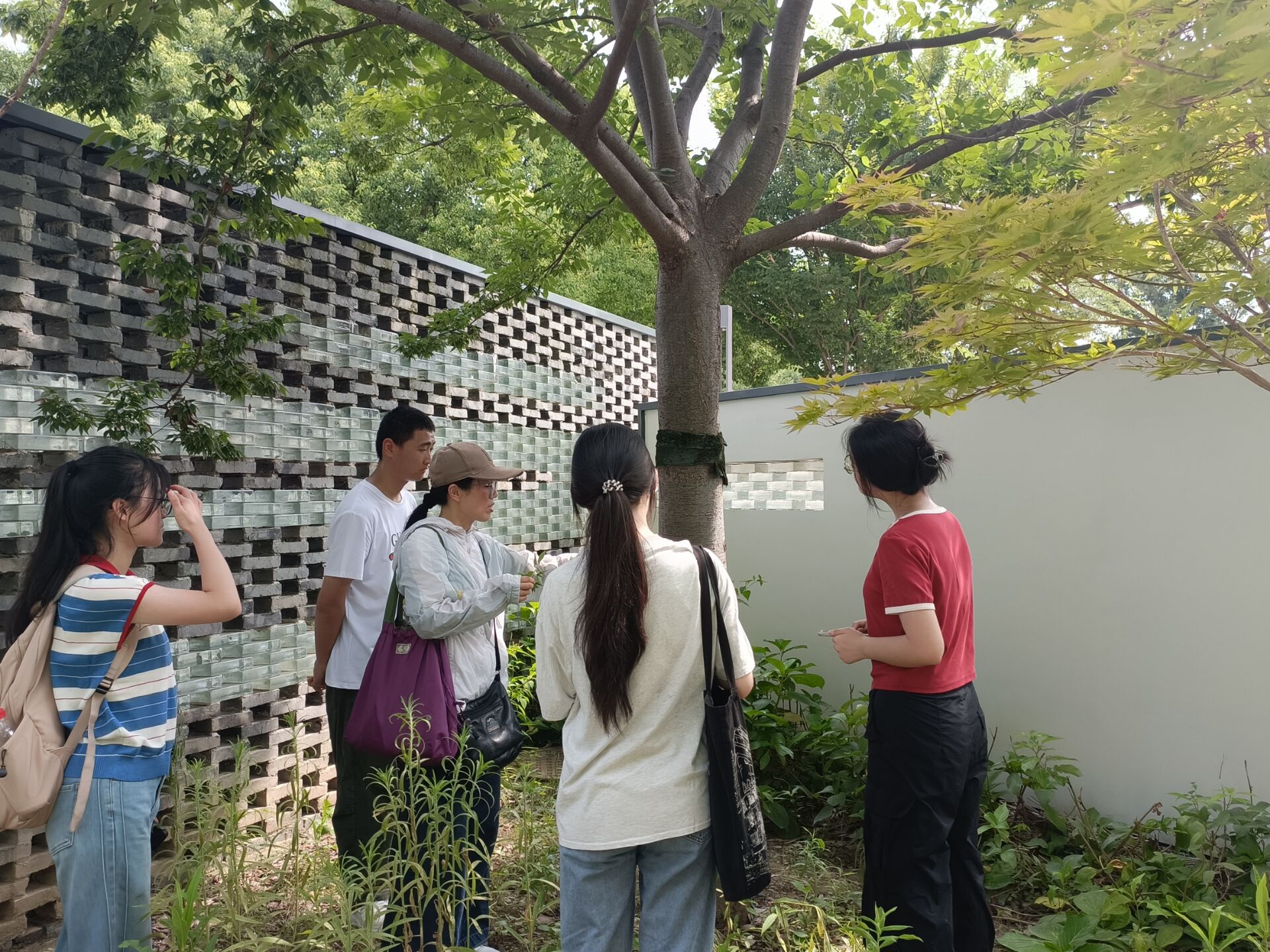 QQ图片20250716194517