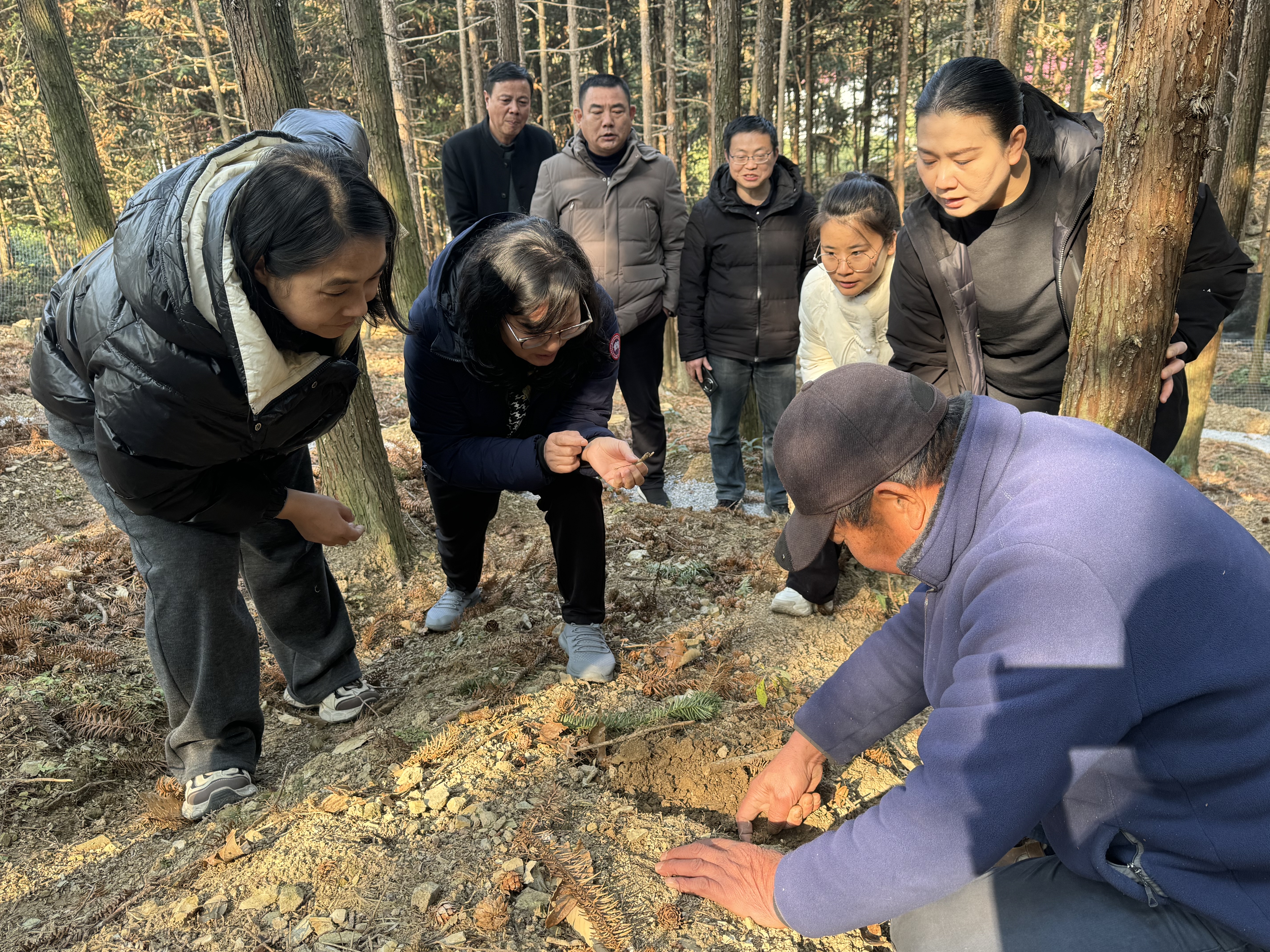 微信图片_20250114162804