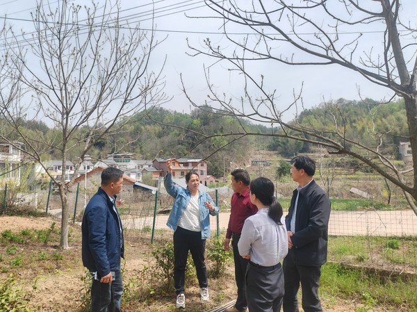 20250410170334931_Hhzhzclj_600x449